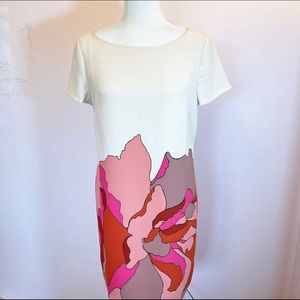 Ann Taylor Loft Woman’s Dress